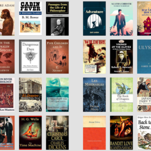 1,000+ Classic Novels Bundle | Resell Rights Included (PLR)