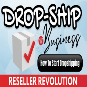 Done-For-You Dropshipping Success Guide: 20-Page High-Quality PLR eBook | Your Shortcut to a Profitable Online Store.
